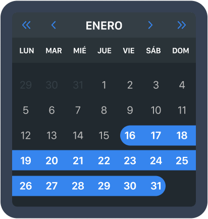Visualización de periodos y por rangos de fechas específicas.